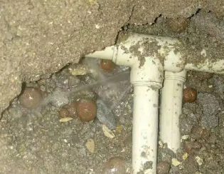 金平卫生间测漏